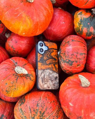 Kdyby si dýně mohla vybrat kryt… vybere si tenhle. 🎃 Halloweenský vibe, podzimní barvy a ručně vyrobený originál z pravého...